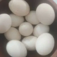 تخم مرغ محلی خوراکی