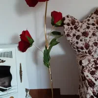 گل کنارسالنی زیبا