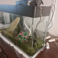 آکواریوم بزرگ کاملا سالم|ماهی|تهران, شمس‌آباد|دیوار