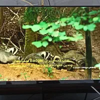 تلویزیون ال ای دی 49 سامسونگ سری ۵در حد نو