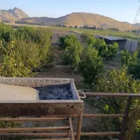 کرایه باغ ویلا با استخر سر پوشیده جکوزی|اجارهٔ کوتاه‌مدت ویلا و باغ|بیستون, |دیوار