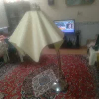 شب خواب ایستاده