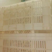 جعبه ۲۰ کیلویی محکم|ظروف نگهدارنده، پلاستیکی، یک‌بارمصرف|ابهر, |دیوار