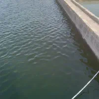 زمین کشاورزی