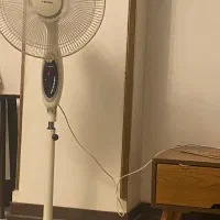 پنکه