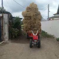 کاه برنج