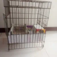 قفس عروس هلندی|لوازم جانبی حیوانات|اسلام‌شهر, شهرک انبیا|دیوار