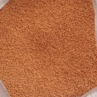 خرید فروش خاکشیر