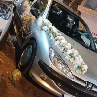 پژو ۲۰۶تیپ۲