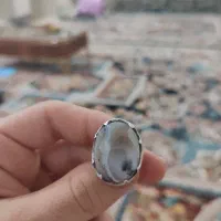 انگشتر شجر درختی
