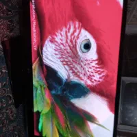 ۵۵ و۴۶ ال جی دیجیتال سرخودباکیفیت فورکی اصل کره