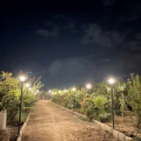 باغ به متراژ ۱۰۰۰ متر بر آسفالت نظام آباد اسلامشهر|فروش زمین و ملک کلنگی|اسلام‌شهر, کاشانک|دیوار