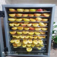 دستگاه میوه و سبزی خشک کن خانگی هوشمند تراشه پرداز|سایر لوازم برقی|مشهد, عیدگاه|دیوار