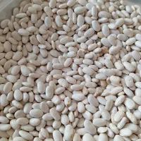 فروشی|حراج|کرج, شهر صنعتی|دیوار