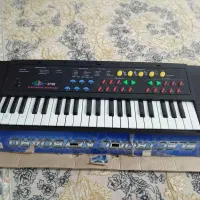 اورگ|پیانو، کیبورد، آکاردئون|مشهد, شهید علی محمدی|دیوار