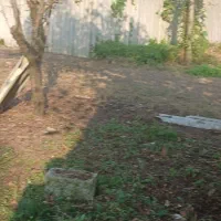 زمین-مسکونی-روستایی-905