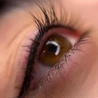 خدمات رایگان ،خط چشم ،میکروبلیدینگ و شید لب