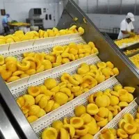 شرکت کنسروی جات تعدادی نیرو پزیرش میکند|استخدام صنعتی، فنی، مهندسی|قزوین, |دیوار