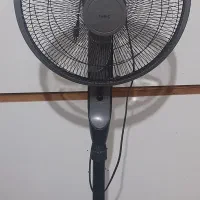 پنکه