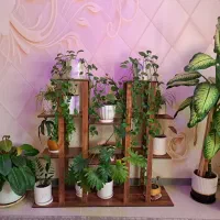 فروش استند به همراه گلدان ها