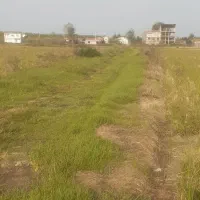 فروش شالیزار ، برنج ، ۲۷۰۰ متری