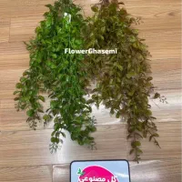 ریسه آویز وارداتی