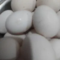 تخم مرغ محلی