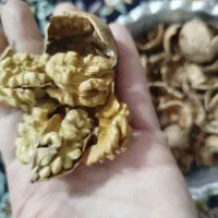 گردوی درجه یک سراب کهمان الشتر خرم آباد