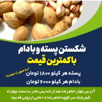 اجاره مغازه فعال شکست پسته و بادام