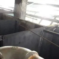 شیروانی آهنگری آلاچیق سردری تعمیرات شیروانی|خدمات پیشه و مهارت|تهران, قیام|دیوار