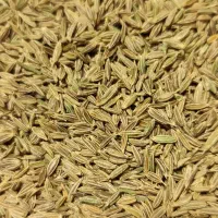 خرید و فروش زیره سبز کرابیه