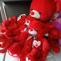 خرس قرمز ولن