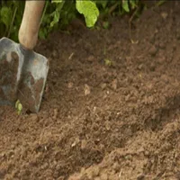 خاک باغچه و باغ مرغوب و حاصل خیز|خدمات باغبانی و درختکاری|شیراز, قصرالدشت|دیوار