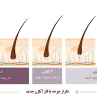 پی ار پی ارژنگ سلامت هفته آخر تخفیف|خدمات آرایشگری و زیبایی|تهران, ایران|دیوار