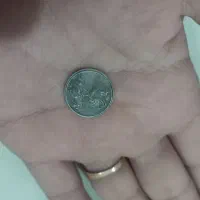 نقره هستش خیلی قدیمی وخواست