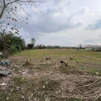 ۳۰۰۰ متر خانه و محوطه و شالیزار با تمامی امتیازات