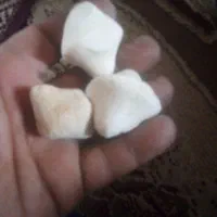کشک سفیدناساب