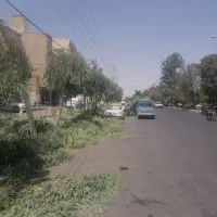 خریدوفروش انواع درختان خشک وتر وهرس درختان|خدمات باغبانی و درختکاری|قم, کلهری|دیوار