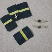 ریت و سردوشی و وینگ هوانوردی