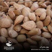 بادام سنگی تازه ونوبر رسید