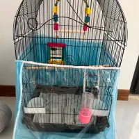 قفس پرنده عروس هلندی طوطی