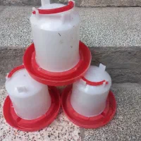اجاره دستگاه جوجه کشی در حال کار