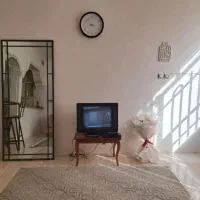 هتل آپارتمان مبله سوئیت شیک منزل خیابان امام رضا|اجارهٔ کوتاه‌مدت آپارتمان و سوئیت|مشهد, کوشش|دیوار