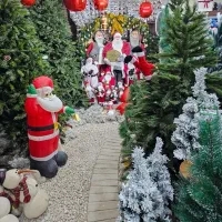 درخت کریسمس