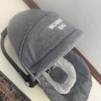 کریر دلیجان مدل مامی بگ