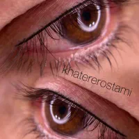 میکروبلیدینگ،شیدینگ،خط چشم،فیبروز|خدمات آرایشگری و زیبایی|رشت, گلزاران|دیوار