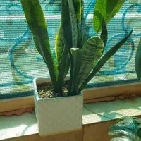 حراج گذاشتم خیلی سریع