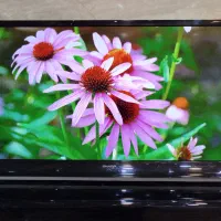 تلویزیون ۴۰ اینچ LED شارپ 40LE3550X|تلویزیون و پروژکتور|ساوه, |دیوار