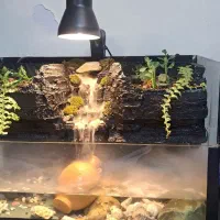 پالاداریوم