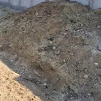 پگر گوسفندی